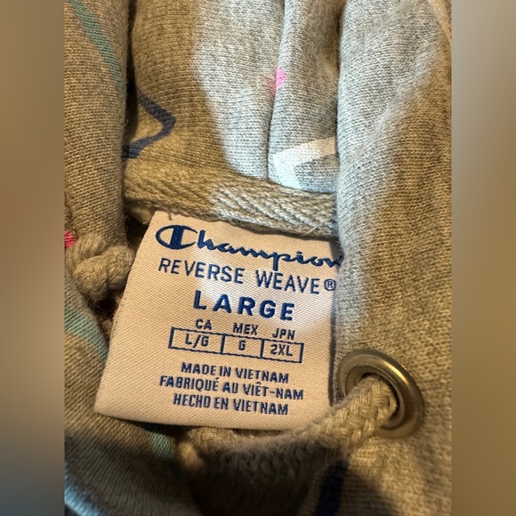 Champion Gray Hoodie with Colorful Accents - Picture 3 of 3